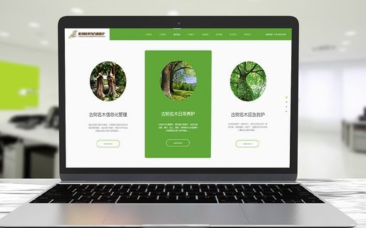 網(wǎng)站定制設(shè)計